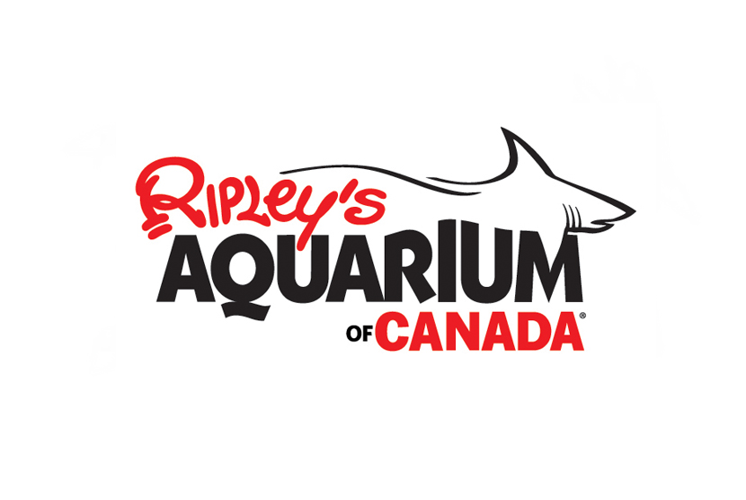 ripley's aquarium of canada